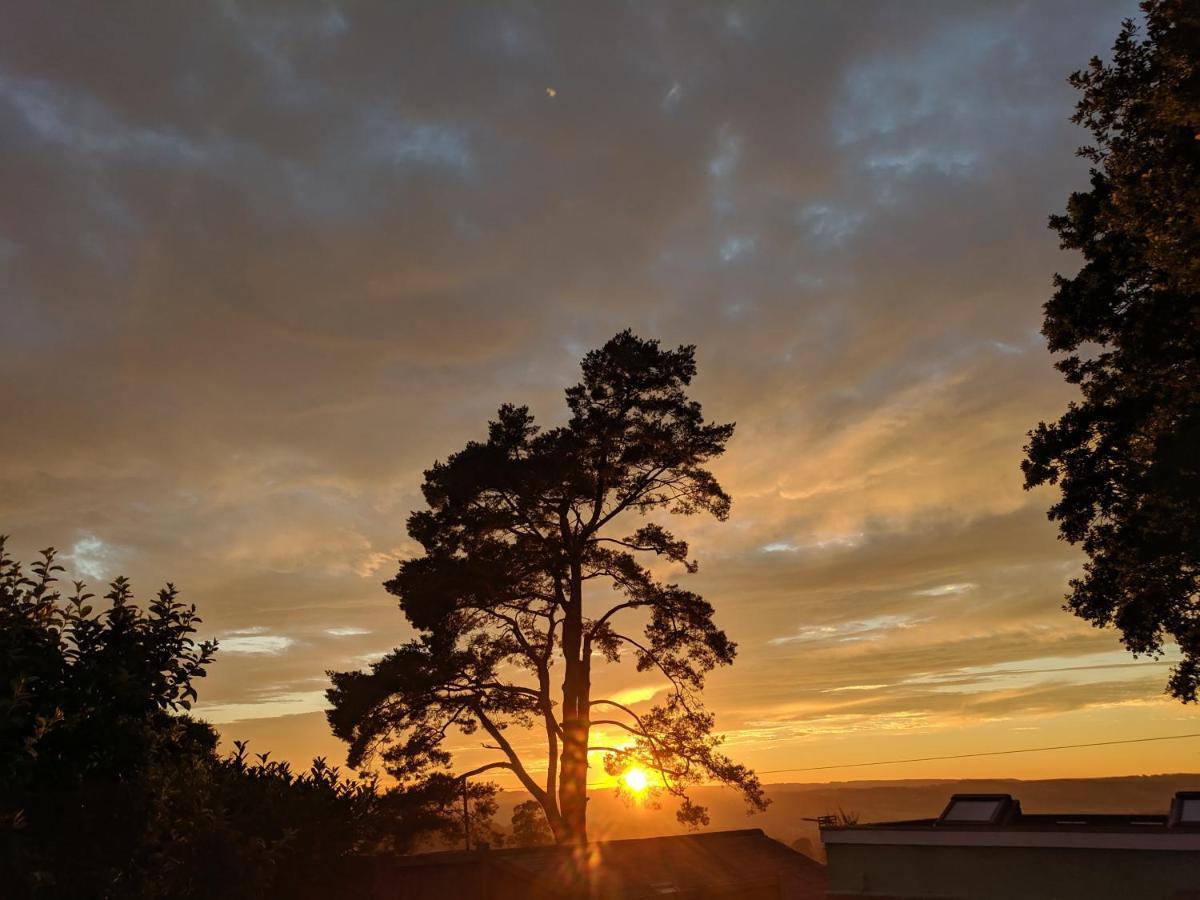Cozy Snug Room, Short Drive To Lyme Regis, Crackling Fireplace, Private Balcony & Stunning Countryside Views, Free Private Parking & Wifi Axminster Exterior foto